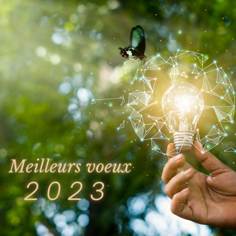 Meilleurs voeux 2023